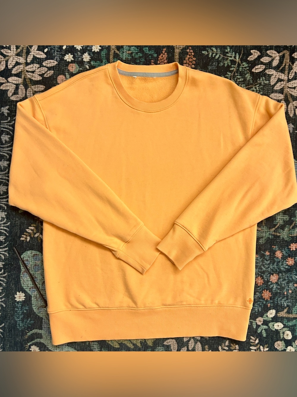 Cozy Aritzia Crewneck Sweatshirt in Pale Orange • Women’s XS